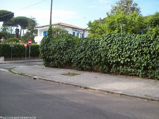 23 maggio 2011 Sabaudia: Il Verde è Vita